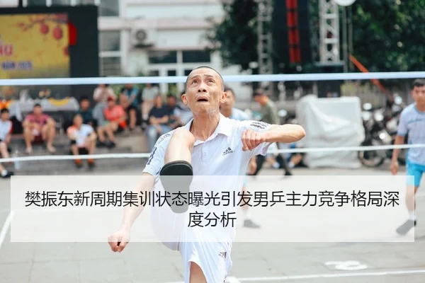 樊振东新周期集训状态曝光引发男乒主力竞争格局深度分析